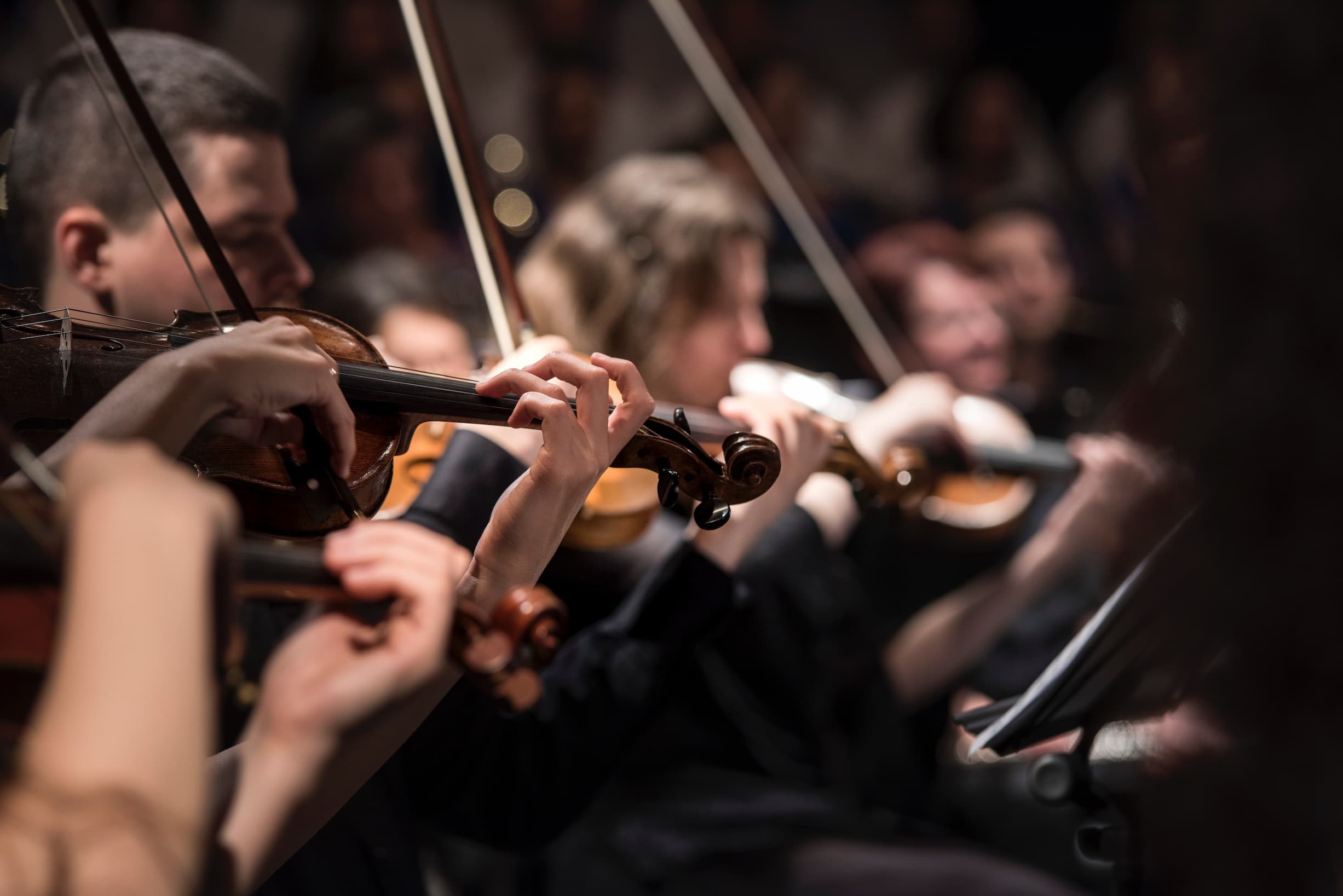 close up of some violin players in an orchestra