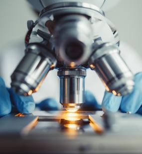 Biotech