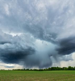 clouds-grass