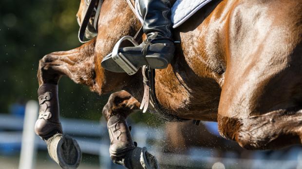 jockey on horse