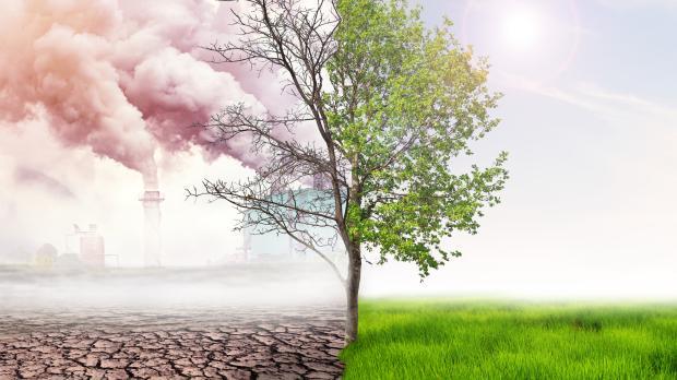 The left hand side shows a polluted scene with a tree in the middle which separates the right hand side which is a green field.