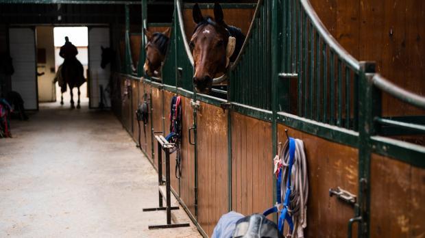 tack room